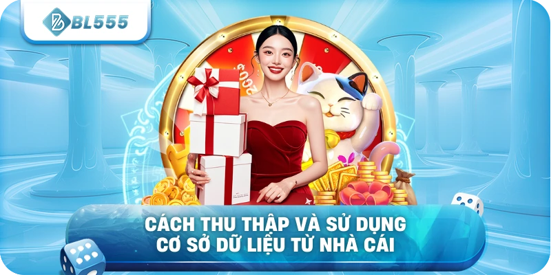 Cách thu thập và sử dụng cơ sở dữ liệu từ nhà cái